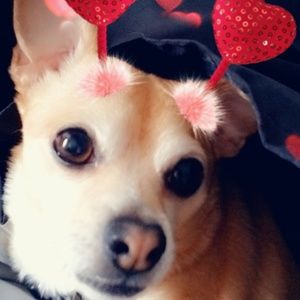 Meet your Posher, Kea